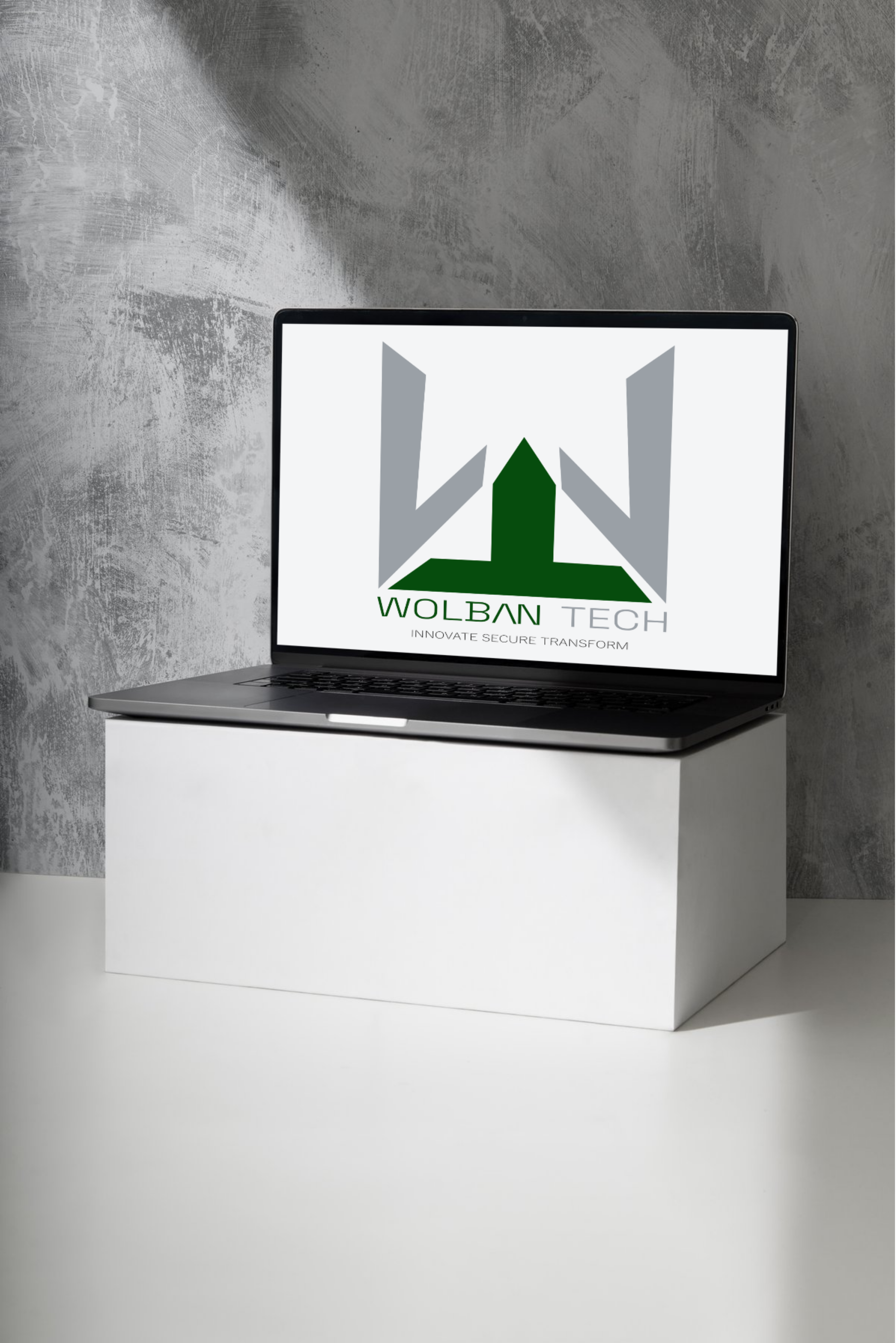 Wolban Tech web product on laptop